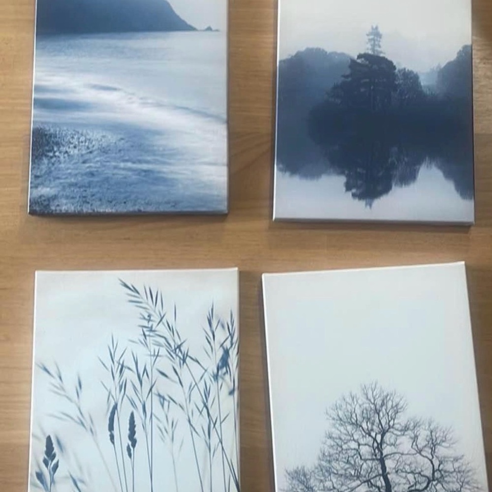 Set of Four IKEA Blue and White Nature Canvas Prints